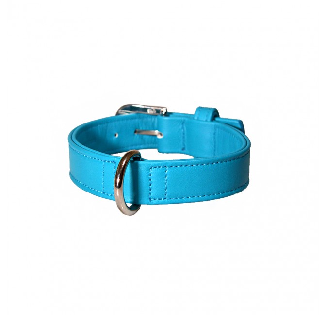 ONE PIECE STRONG LEATHER DOG COLLAR - SMALL